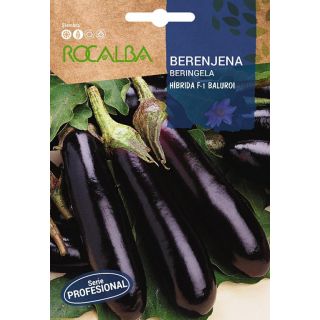 200 Semillas Berenjena Larga Negra (Solanum melongena) seeds