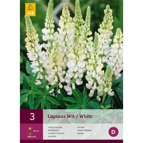 Compra LUPINUS WHITE en la tienda online Fito Agrícola