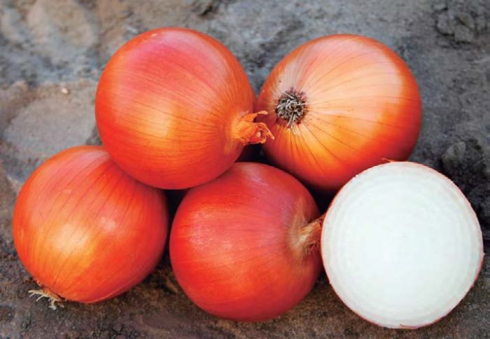 Costales De Fibra Rojo Con Cinta Para Cebolla